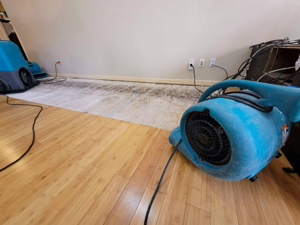Professional Structural Drying technician working in Butler, AL